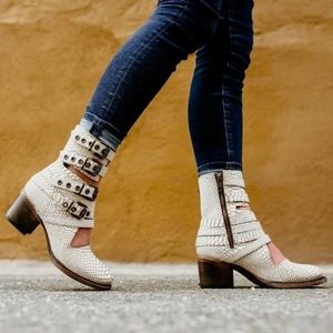 Freebird by Steven Clover